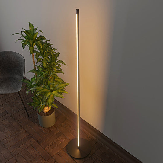 Minimalist Floor Lamp