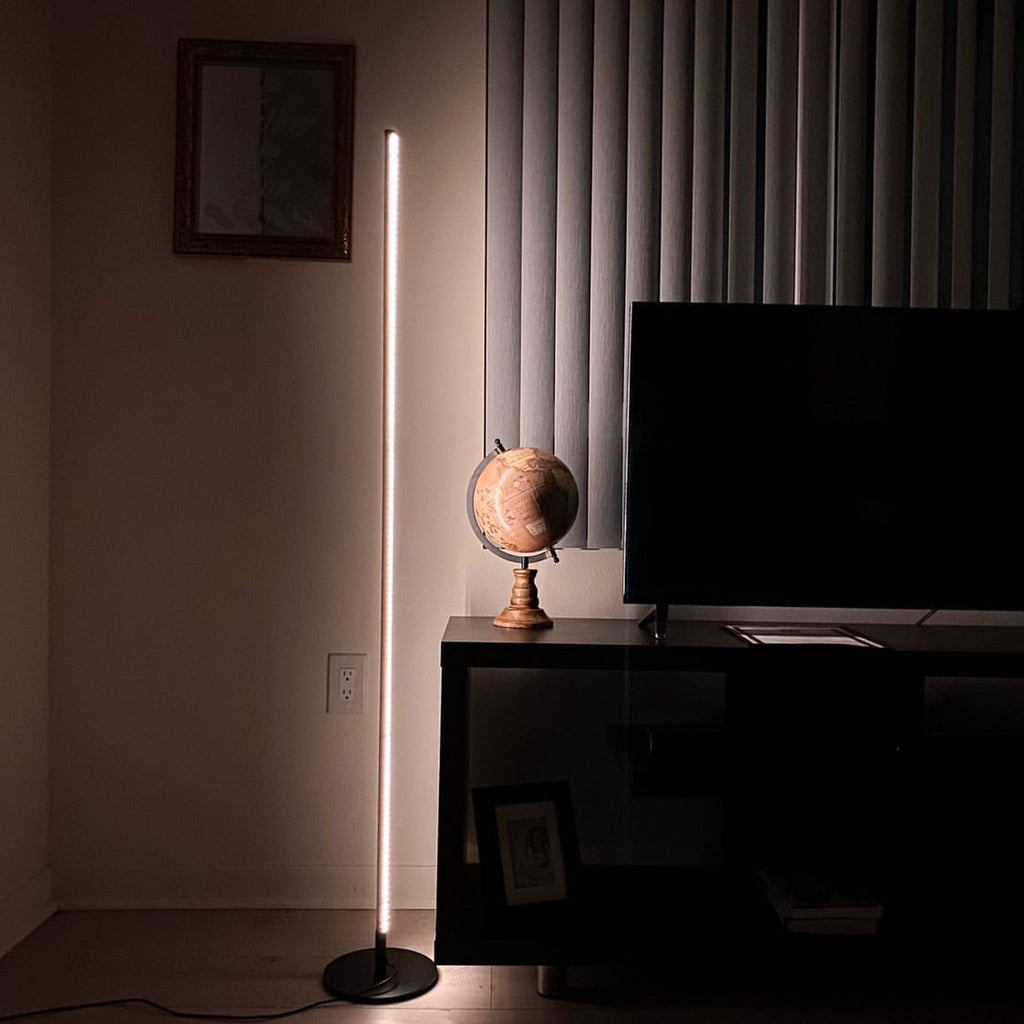Minimalist Floor Lamp