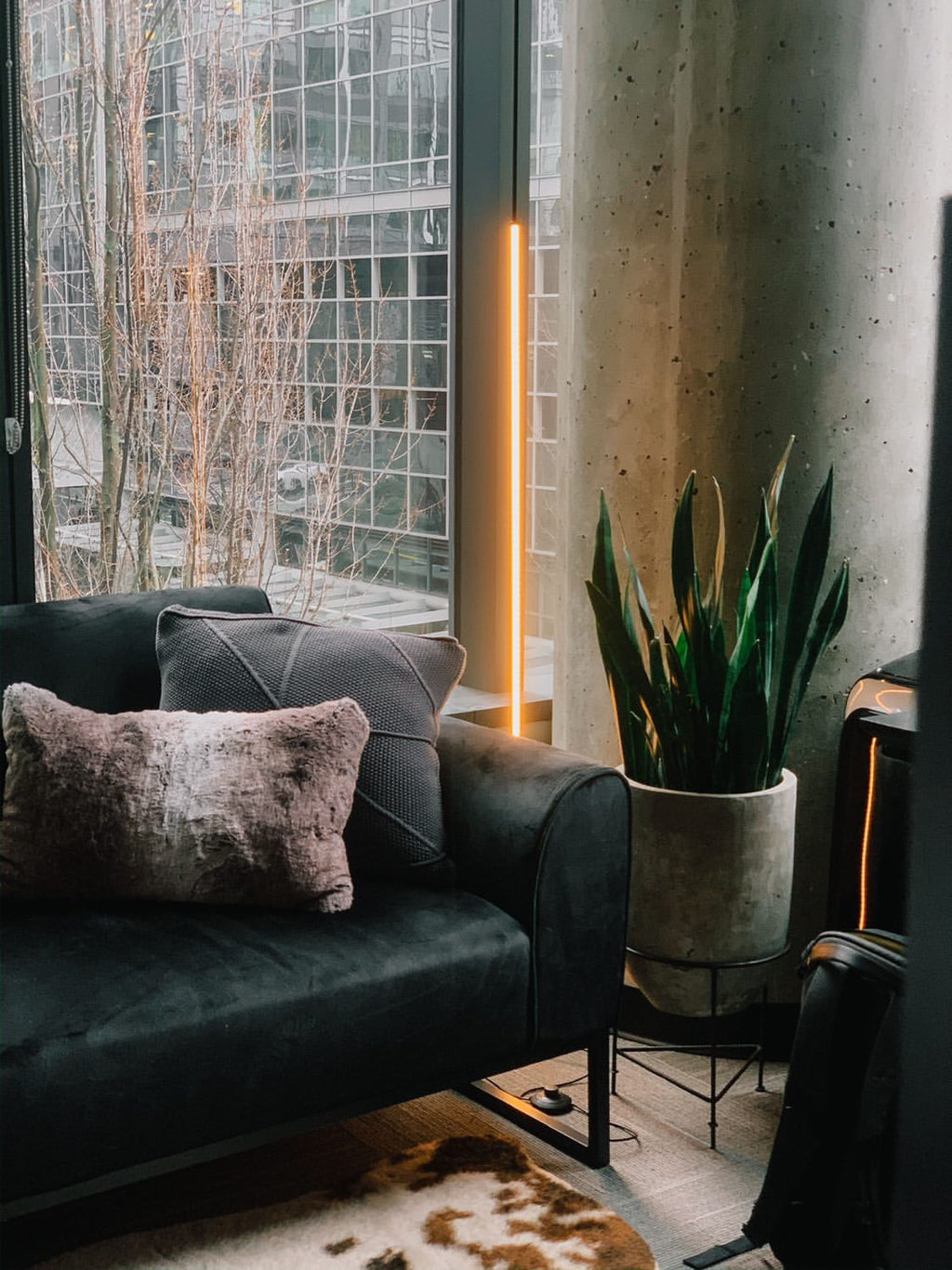 Minimalist Floor Lamp