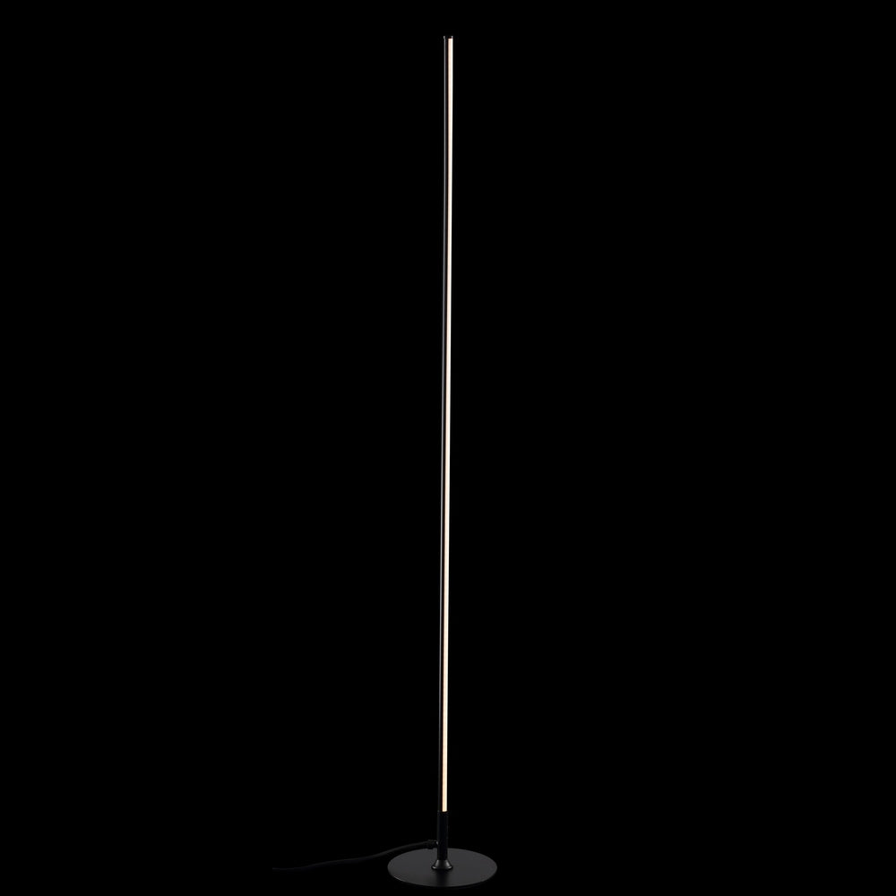 Minimalist Floor Lamp